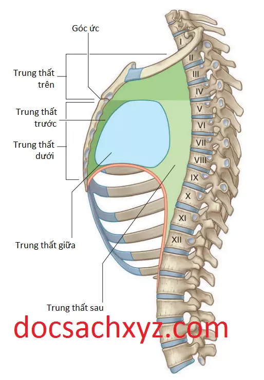 trung-that-truoc-2