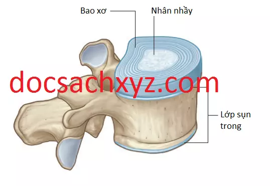 co-vung-lung-1