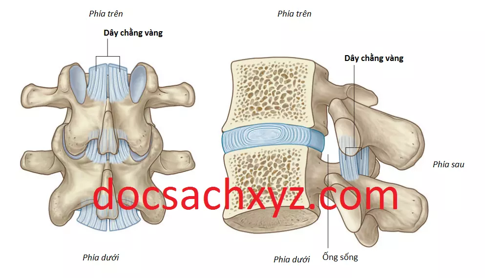 co-vung-lung-7