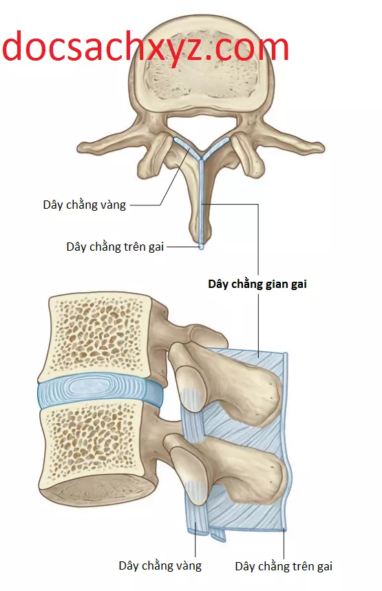 co-vung-lung-9