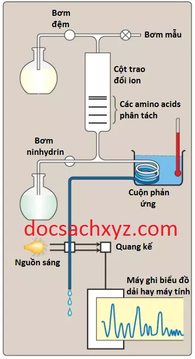 proteins-3