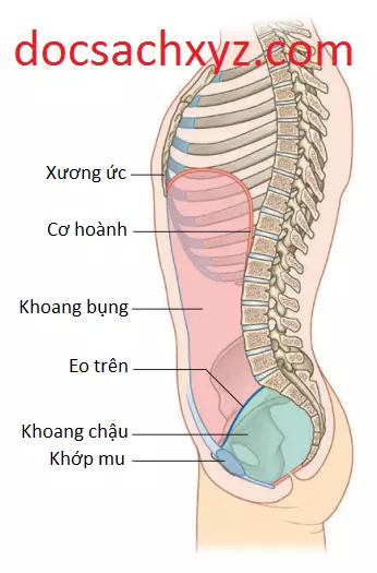 thanh-bung-1