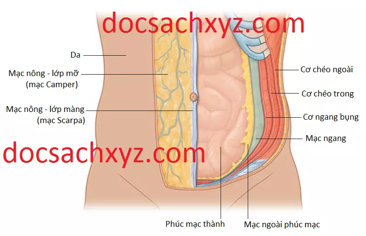 thanh-bung-4