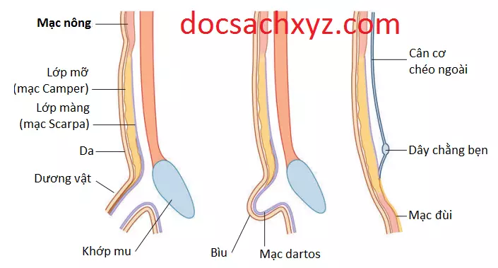 thanh-bung-5