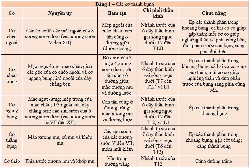thanh-bung-8