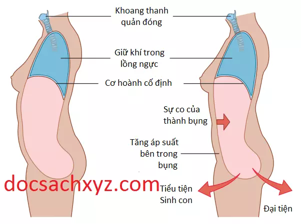 khoang-bung-5