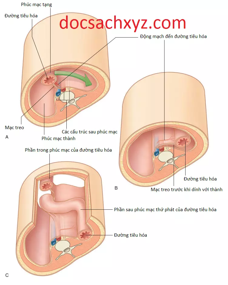 khoang-bung-8