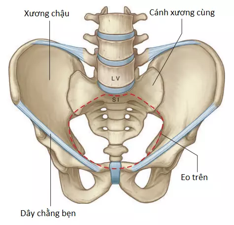 khoang-bung-10