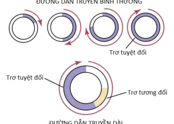 Các Loạn Nhịp Tim Và Điện Tâm Đồ Của Chúng (Phần 2)
