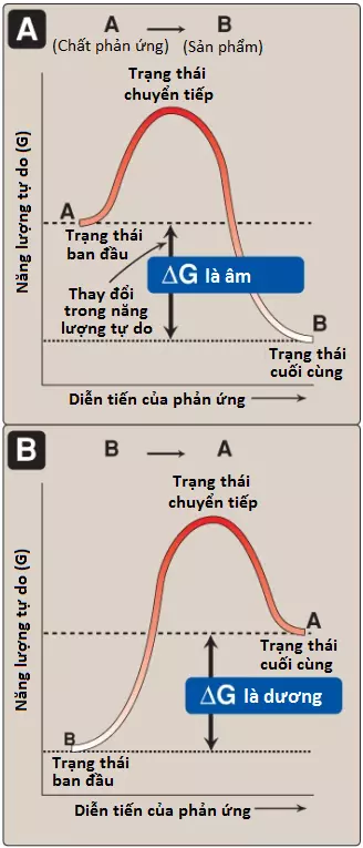 nang-luong-3