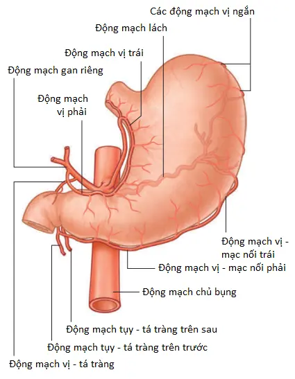 thuc-quan-2