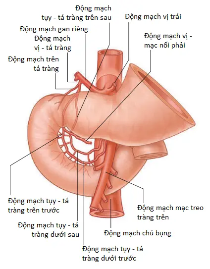 thuc-quan-6