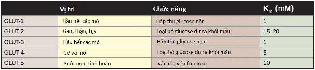 duong-phan-3