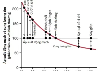 Vai Trò Của Thận Trong Kiểm Soát Áp Suất Động Mạch Dài Hạn Và Trong Tăng Huyết Áp (Phần 1)