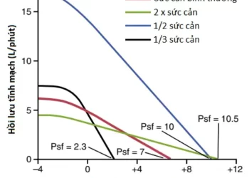 Cung Lượng Tim, Hồi Lưu Tĩnh Mạch Và Sự Điều Hòa Của Chúng (Phần 2)