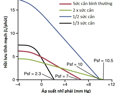 Cung Lượng Tim, Hồi Lưu Tĩnh Mạch Và Sự Điều Hòa Của Chúng (Phần 2)