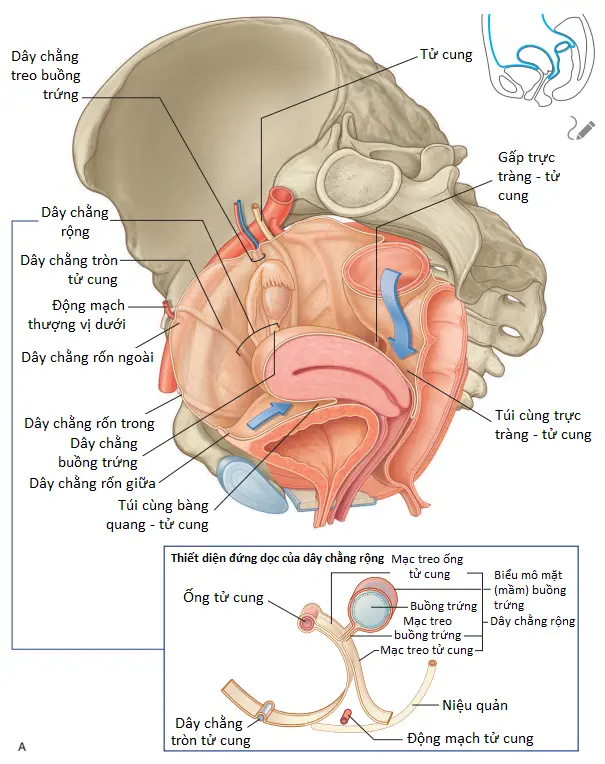dam-roi-cung-2