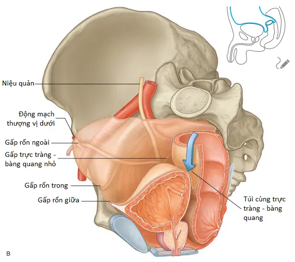 dam-roi-cung-3