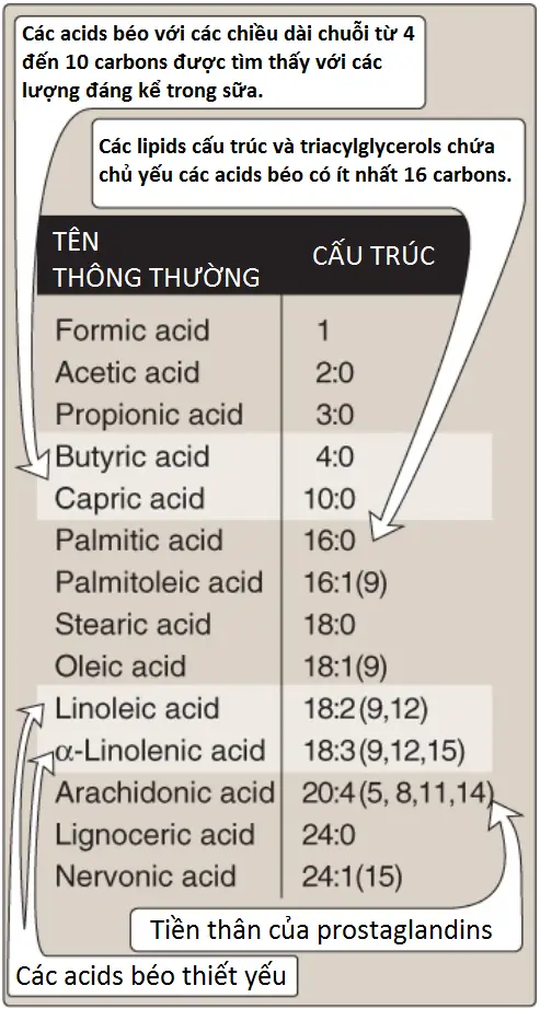 acid-beo-4