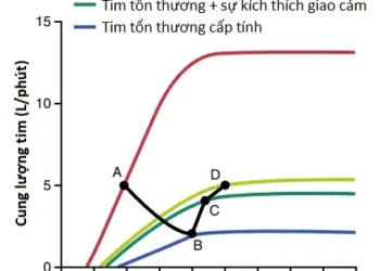 Suy Tim (Cardiac Failure) (Phần 1)
