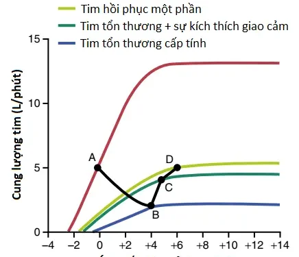 Suy Tim (Cardiac Failure) (Phần 1)