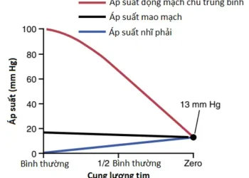 Suy Tim (Cardiac Failure) (Phần 3)