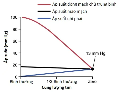 Suy Tim (Cardiac Failure) (Phần 3)