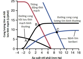 Suy Tim (Cardiac Failure) (Phần 5)
