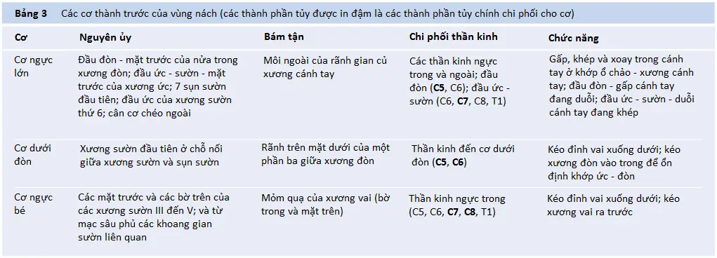 vung-nach-3