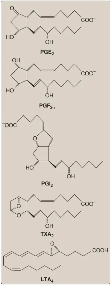 prostaglandins-1
