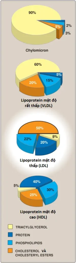 ldl-1