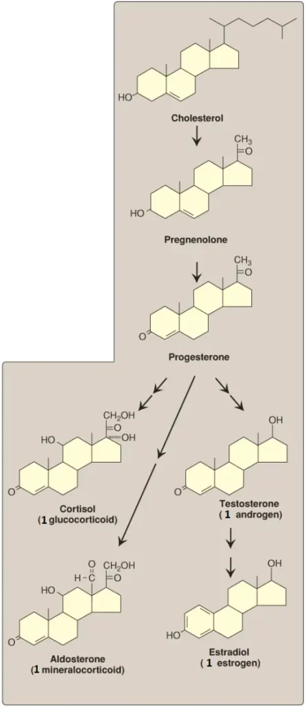 steroid-1