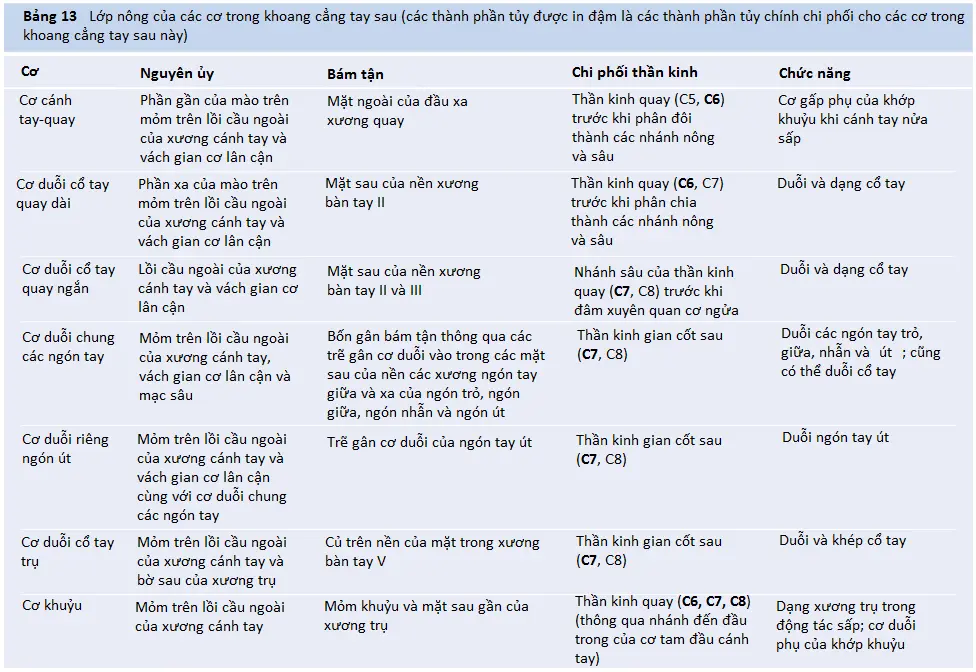 than-kinh-quay-2
