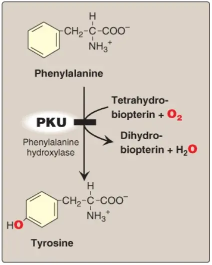 pku-3