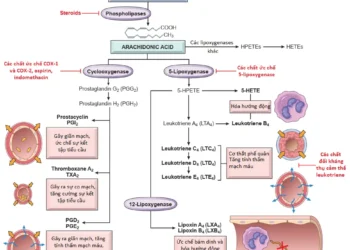 Viêm Cấp Tính (Phần 4)