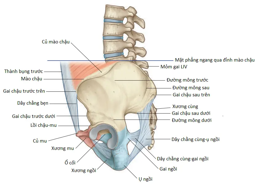 xuong-chau-1