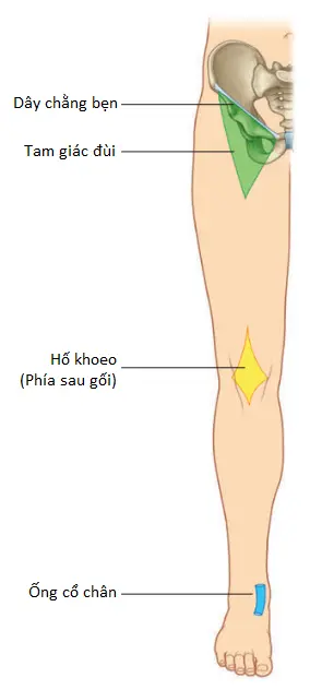 chi-duoi-3