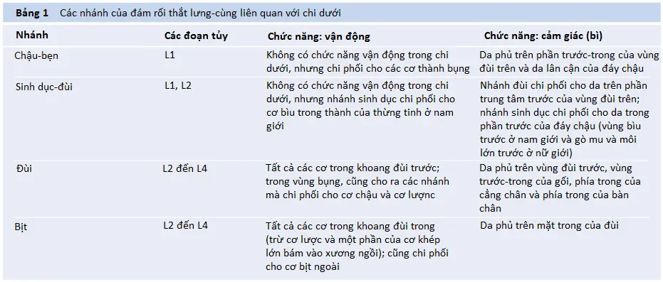 than-kinh-dui-2