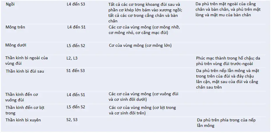 than-kinh-dui-3