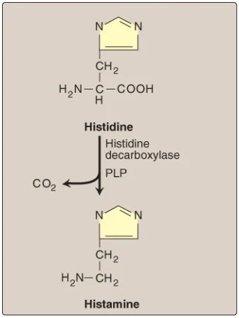 catecholamines-3