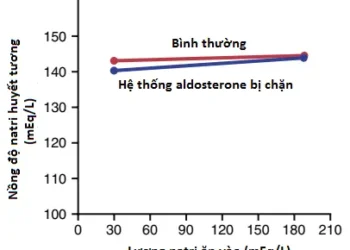 Sự Pha Loãng Và Cô Đặc Nước Tiểu; Sự Điều Hòa Nồng Độ Thẩm Thấu Và Nồng Độ Natri Dịch Ngoại Bào (Phần 5)