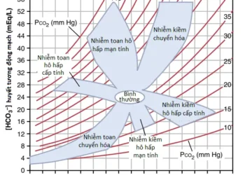Sự Điều Hòa Acid-Base (Phần 5)