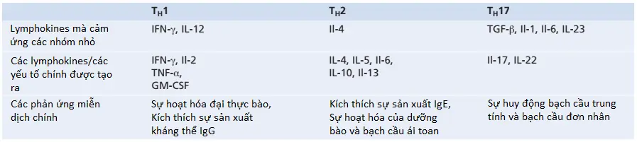 te-bao-t-2