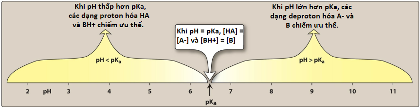 sinh-kha-dung-2
