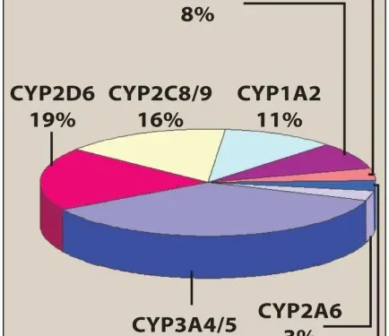 Dược Động Học (Pharmacokinetics) (Phần 3)