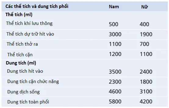 the-tich-phoi-3