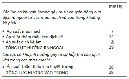 mao-mach-phoi-2