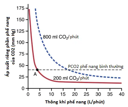 mang-ho-hap-5