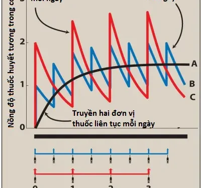 Dược Động Học (Pharmacokinetics) (Phần 4)