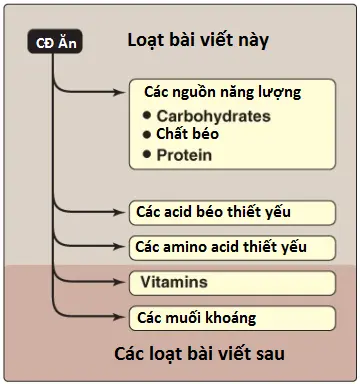 chat-dinh-duong-1